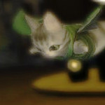 A kitty with a winged green vest flies about